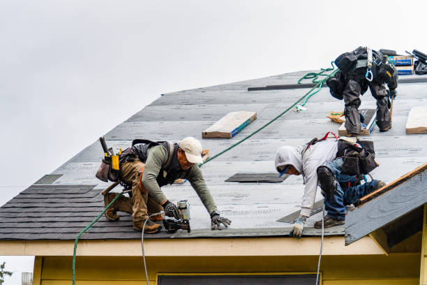 Professional Storm Damage Roof Repair technician working in Adena, OH